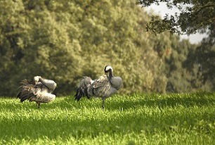PREMIADOS XIV CONCURSO FOTOGRÁFICO «COMARCA DE LA SIBERIA»